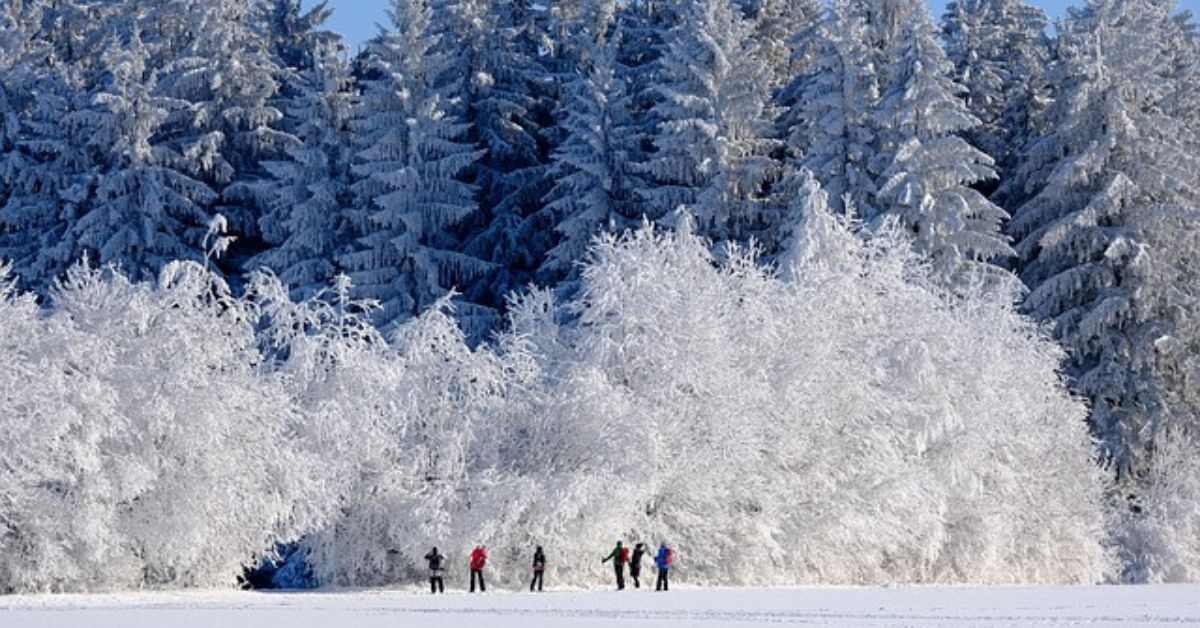 saying about winter