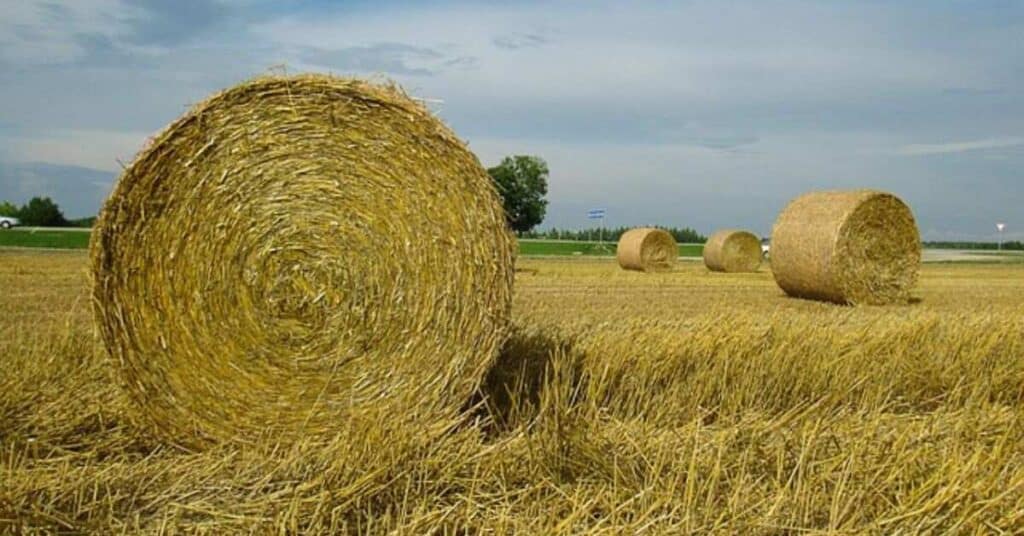 Inspiring Quotes for July