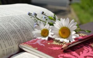 bookish word