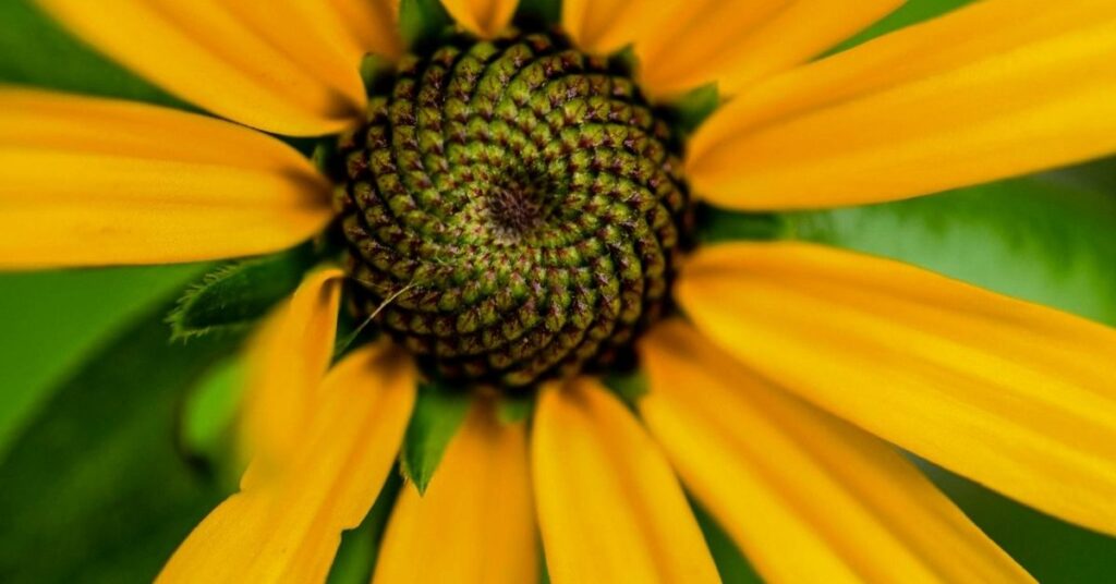 Words That Carry Meaning