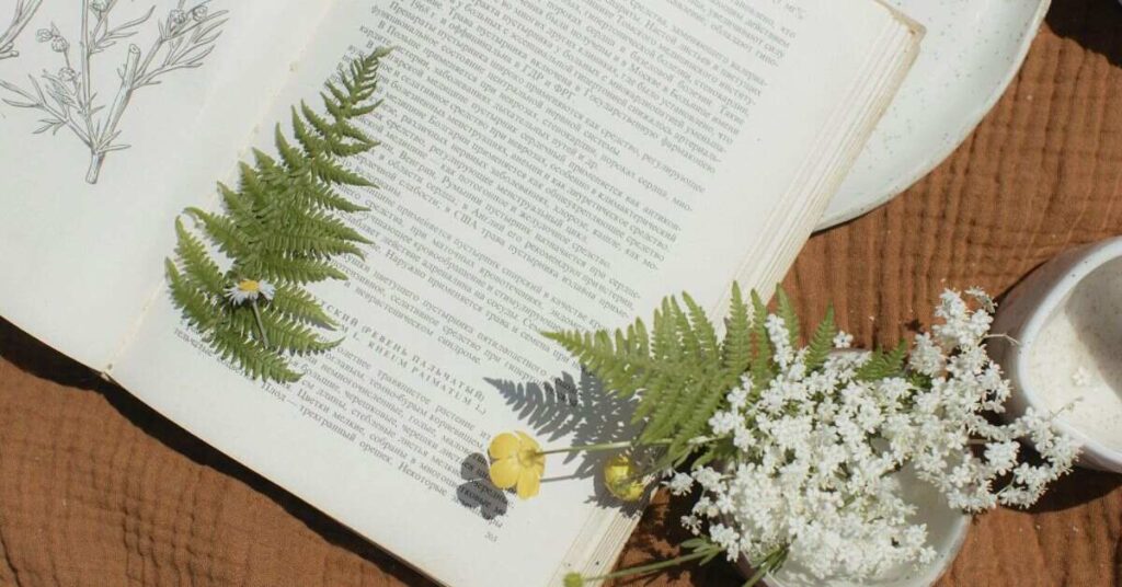 Poetry Styles and Meanings